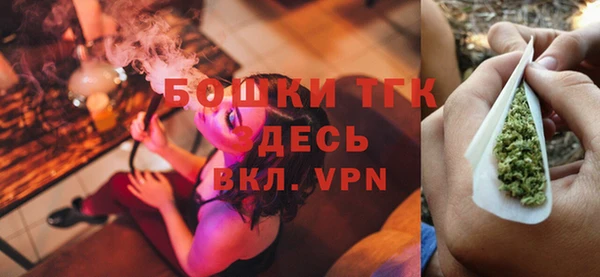 дурь Алексин