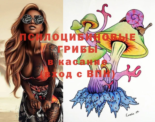 дурь Алексин