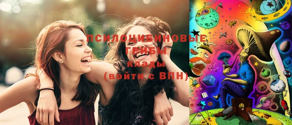 гашик Алексеевка