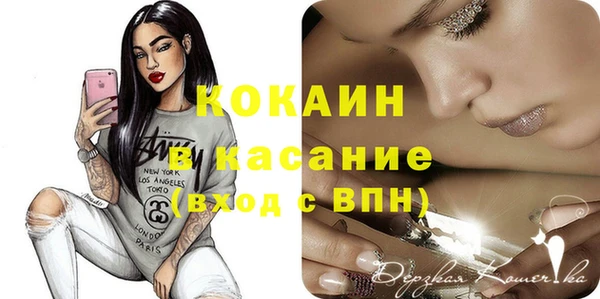гашик Алексеевка